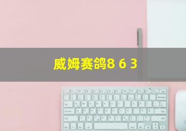 威姆赛鸽8 6 3